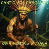 Download track Canto A Natureza