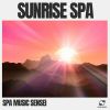 Download track Calm Spa Music