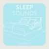 Download track Napping