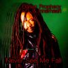 Download track Never See Me Fall