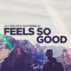 Download track Feels So Good (Radio Edit)