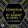 Download track A Little Respect (Somn3um Supe