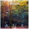 Download track Ana (Intro Edit)