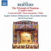 Download track The Triumph Of Neptune Hornpipe (1)