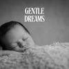 Download track Gentle Lullaby