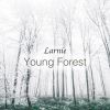 Download track Young Forest