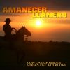 Download track Campeones Veteranos