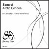 Download track Arctic Echoes (Original Mix)