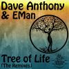 Download track Tree Of Life (D-Compost Remix)