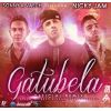 Download track Gatubela Remix