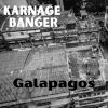 Download track Galapagos