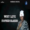 Download track Why Life