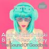 Download track The Sound Of Goodbye (Natema Remix)