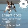 Download track Smile (Amex Remix)