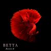 Download track Betta