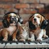 Download track Pet's Playful Tunes