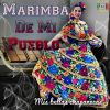 Download track Cumbia Barrulera