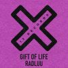 Download track Gift Of Life (Radio Edit)