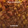 Download track Smooth Brown Noise And Crunchy Leaves In The Forest