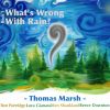 Download track What's Wrong With Rain'