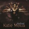 Download track The Flood (Radio Edit)