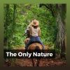 Download track 30 Beautiful Nature Sounds, Pt. 8