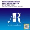 Download track Perfect Sky (Hodel Remix)