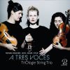 Download track A Tres Voces