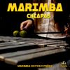 Download track Marimba Oro 4