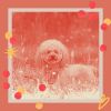 Download track Magical Keeping Your Dog Happy