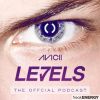 Download track Personal Jesus (Eric Prydz Remix) Vs. Muranyi (Avicii Bootleg) 