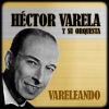 Download track La Taba (Orquesta De Héctor Varela)