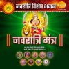 Download track Mahalaxmi Mantra