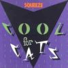 Download track Cool For Cats