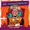 Download track Forrozinho Amar Quem Eu Já Amei (Remix)