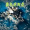 Download track 流淌的泪水