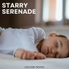 Download track Silent Serenade