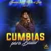 Download track Bailando