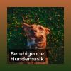 Download track Wiegen Sie Ihren Hund In Den Schlaf