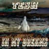 Download track In My Dreams (Dance Long Version)