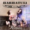 Download track Rantanen