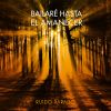 Download track Bailaré Hasta El Amanecer (Single Mix)