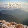 Download track Sonata Para Violín No. 17 En Do Mayor, KV 296: III. Allegro