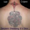 Download track Serpent (Ivan)