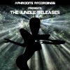 Download track Basslights (Jungle Renegades VIP)