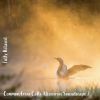 Download track Common Loon Calls Afternoon Soundscape, Pt. 6