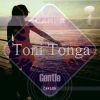 Download track Gentle (Original Mix)