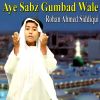 Download track Aye Sabz Gumbad Wale