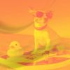 Download track Stylish Calming Dogs