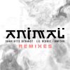 Download track Animal (Jeff Nang Remix Dub)